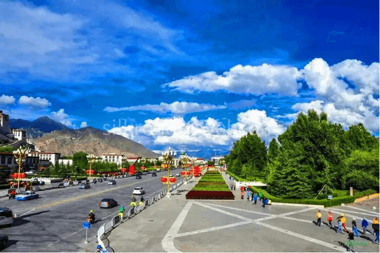 lhasa lhasa