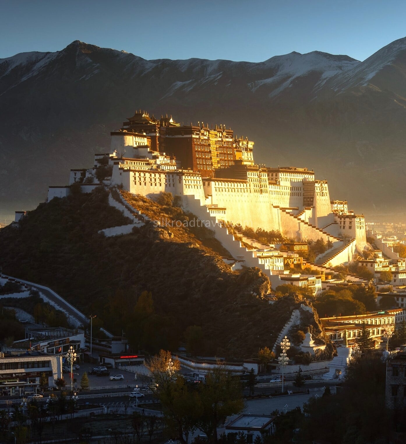lhasa lhasa