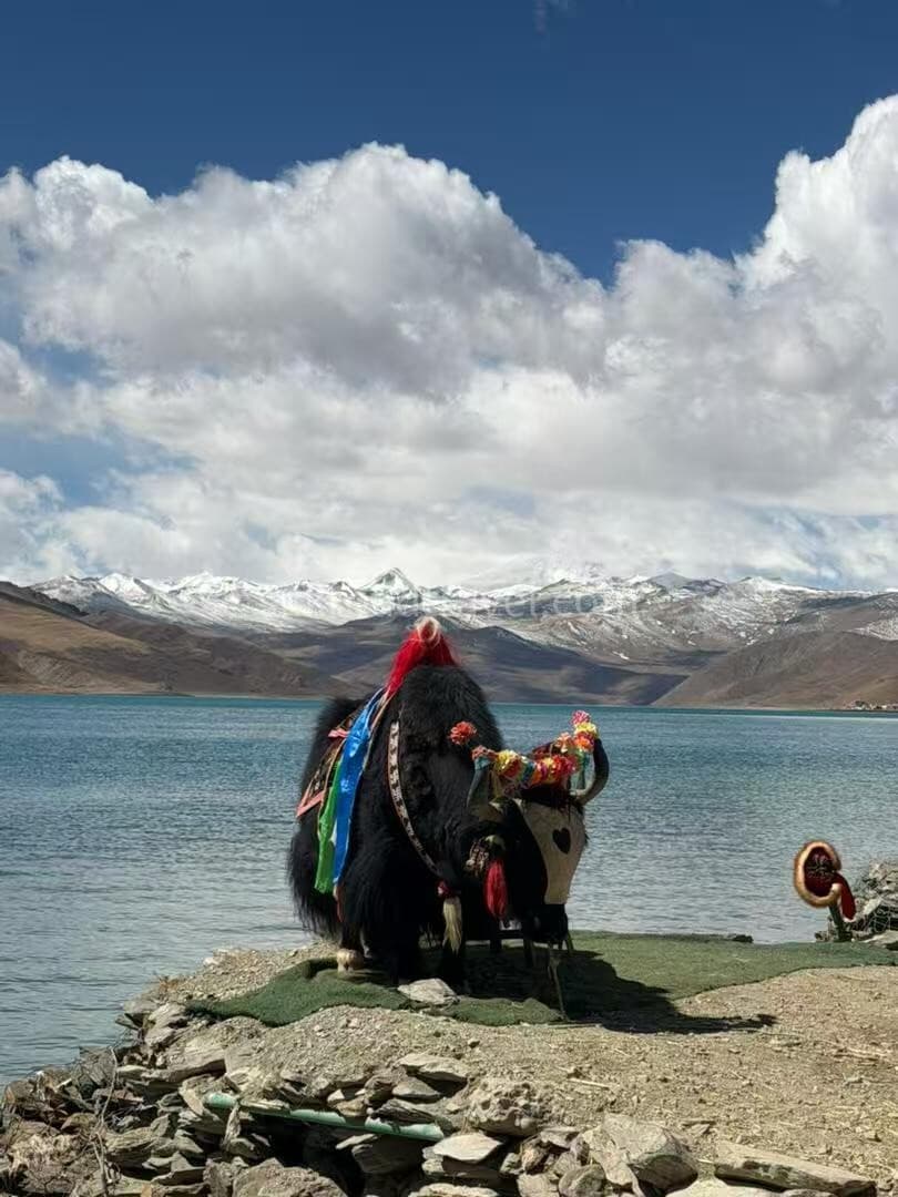 tibet-39