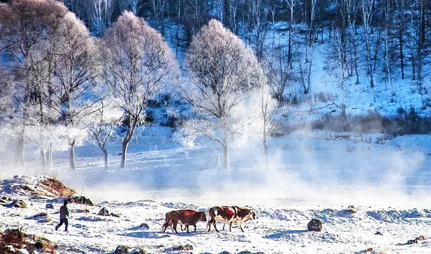 xilamuren-winter xilamuren-winter