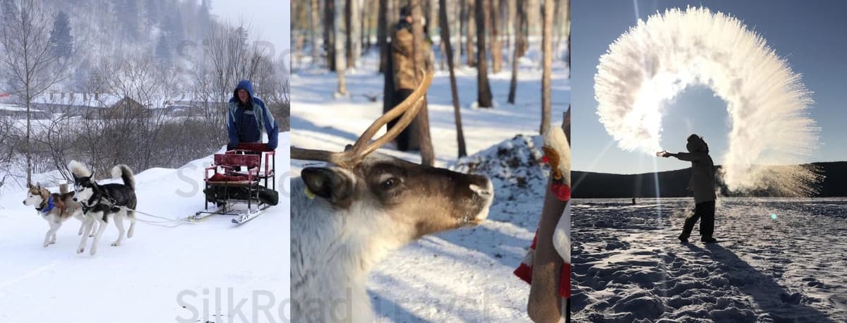 What You Can—and Cannot—Expect from Winter Activities.jpg What You Can—and Cannot—Expect from Winter Activities.jpg