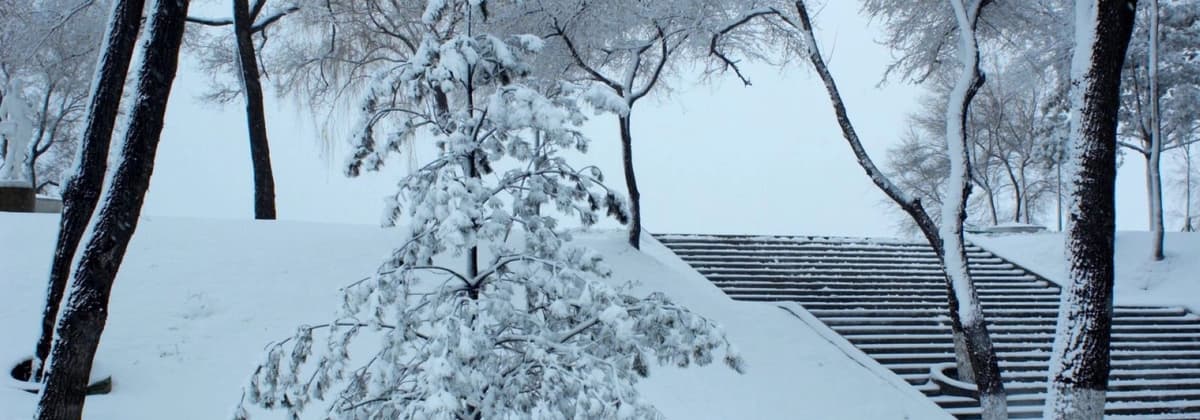 harbin songbei.jpg harbin songbei.jpg
