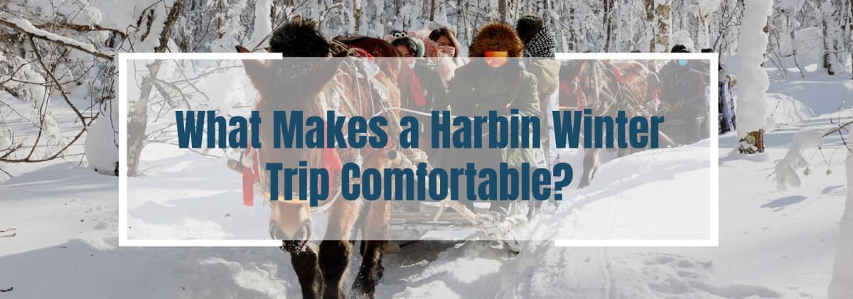 What Makes a Harbin Winter Trip Comfortable.jpg What Makes a Harbin Winter Trip Comfortable.jpg