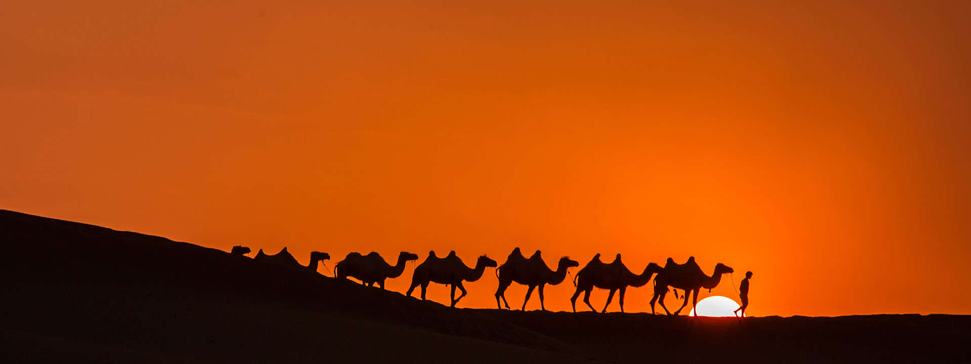 China Expat & Group Tour