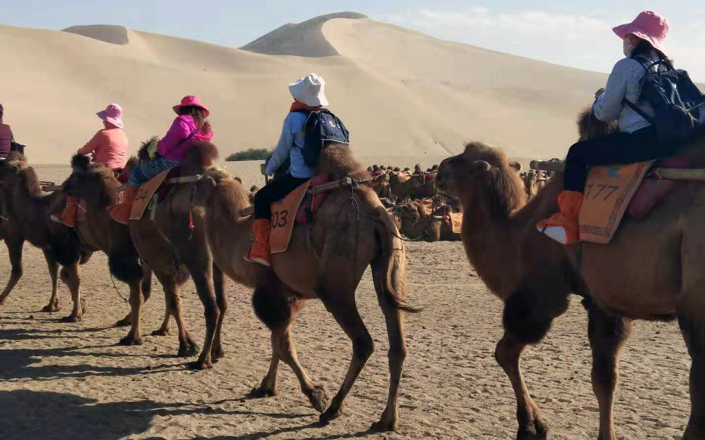 silk road tour operators