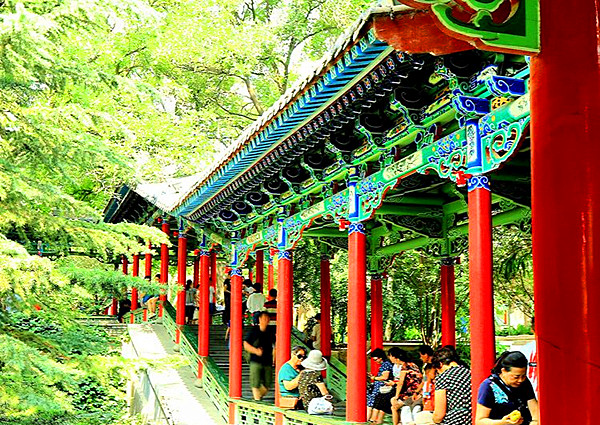 white pagoda park-1.jpg
