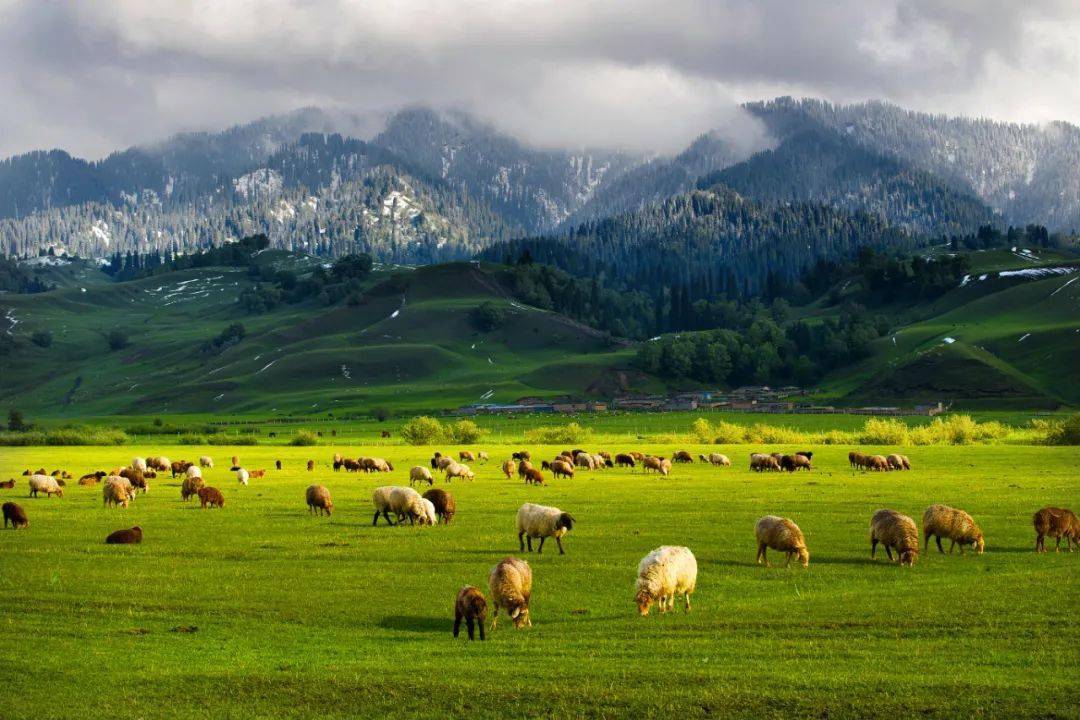 Nalati Grassland-Silk Road Travel