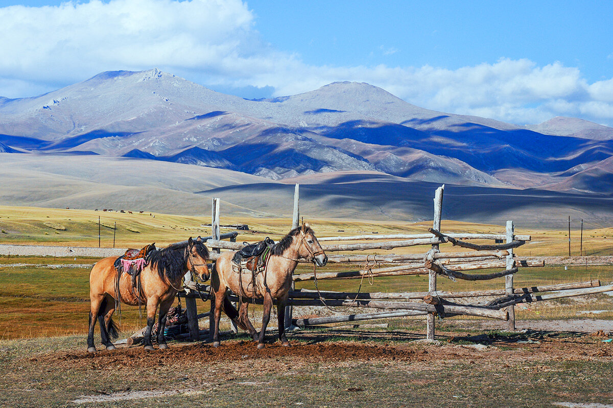 bayanbulak-grassland-22.jpg