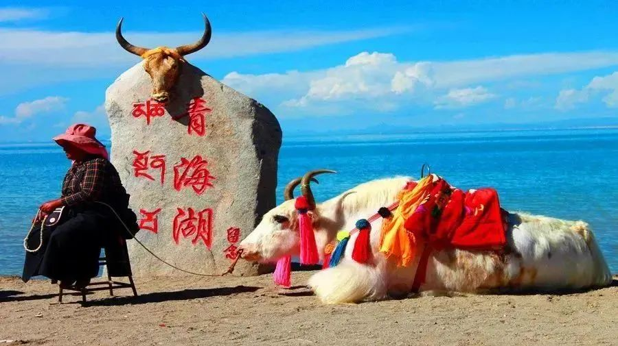 7 Days Silk Road Group Tour to Gansu & Qinghai