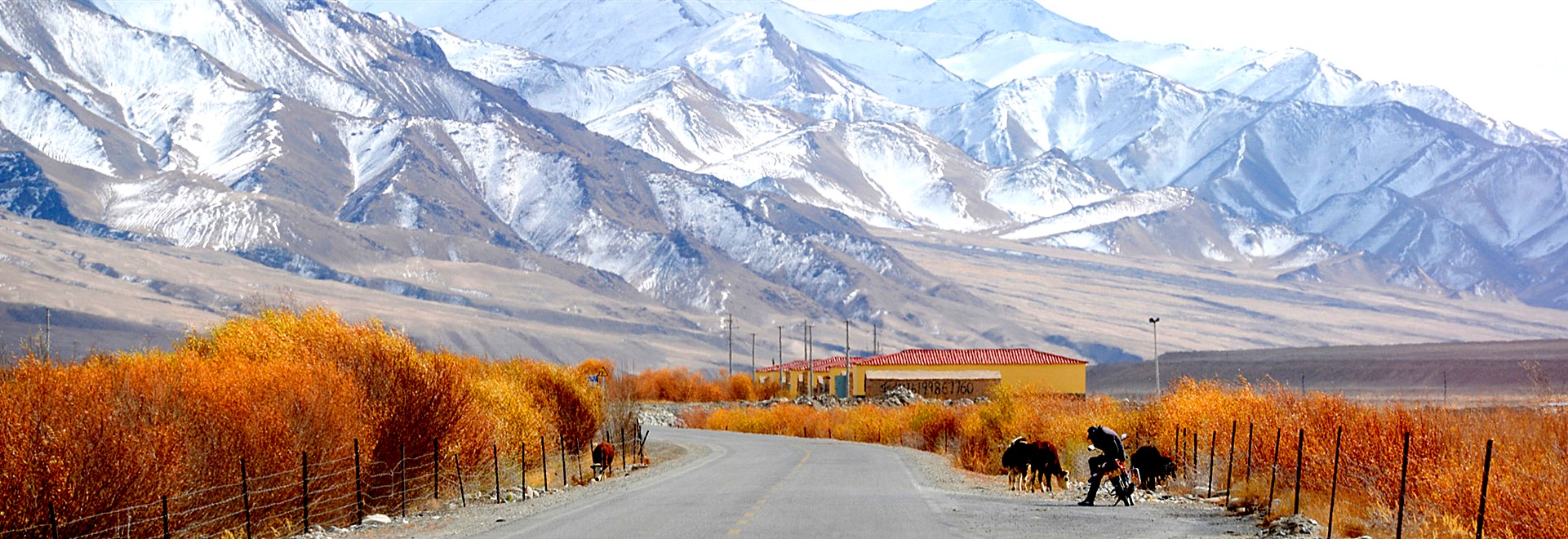 Silk Road Xinjiang Tours