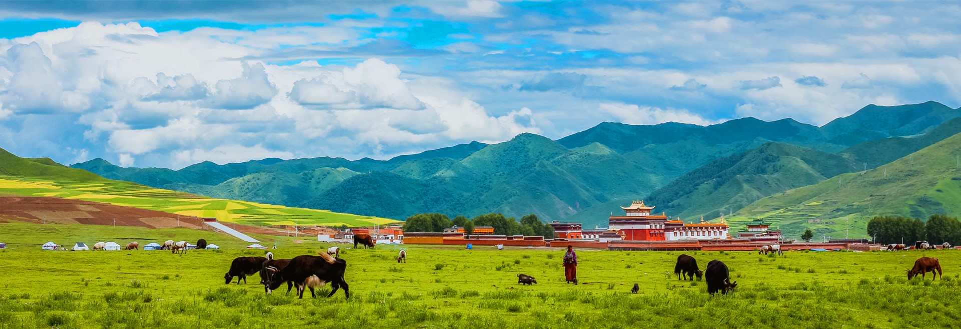 Qinghai Tours