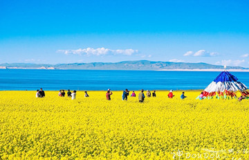 11 Days Qinghai Gansu Tour