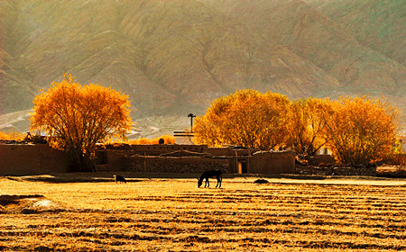 Silk Road Xinjiang Group Tour