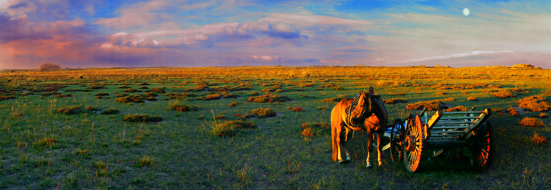 Silk Road Photography Tours