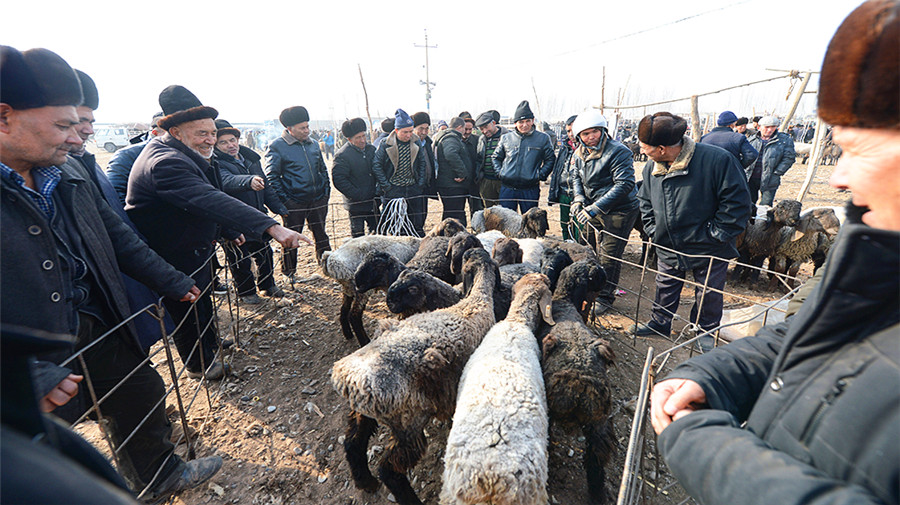 Kashgar Sunday Bazaar