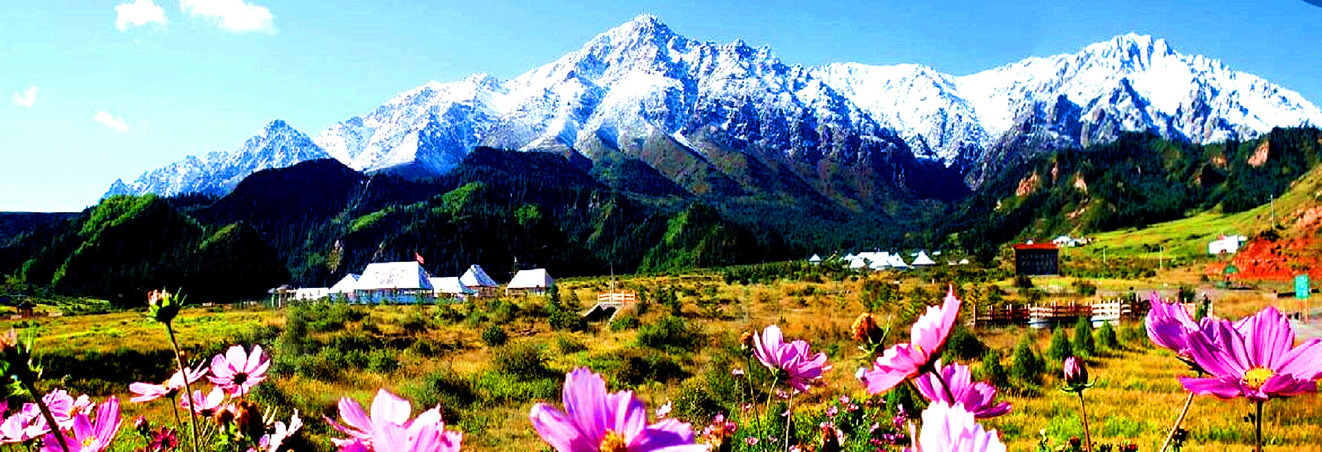 Silk Road Group Tours