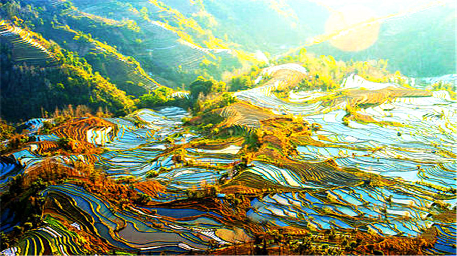 Duoyi rice terraces.jpg