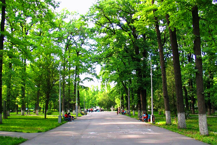 Duboviy-park.jpg