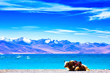 8 Days Tibet Tour to Lhasa, Shigatse & Damxung