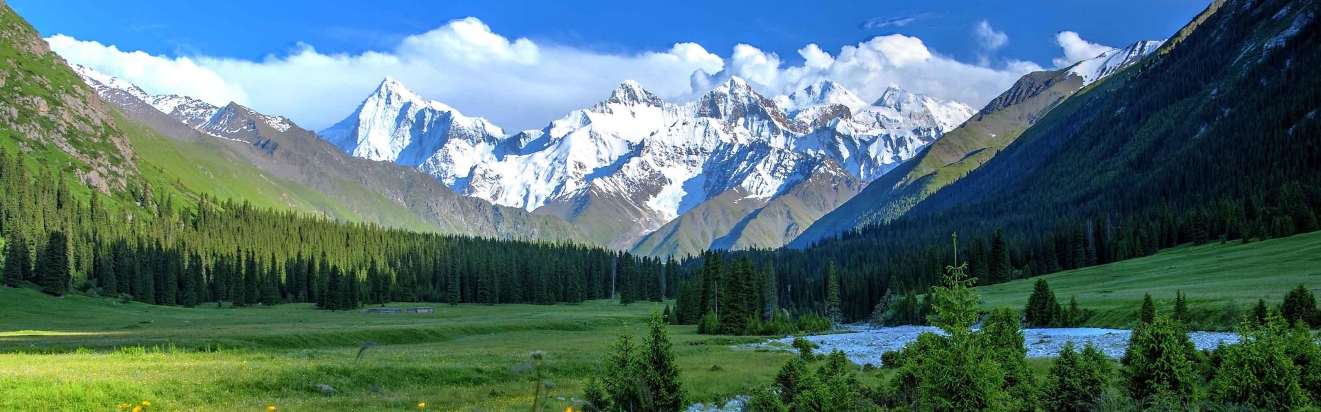 China Expat & Group Tour