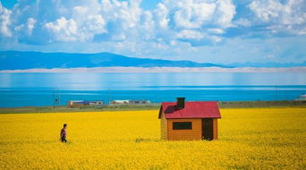 Qinghai Lake.png